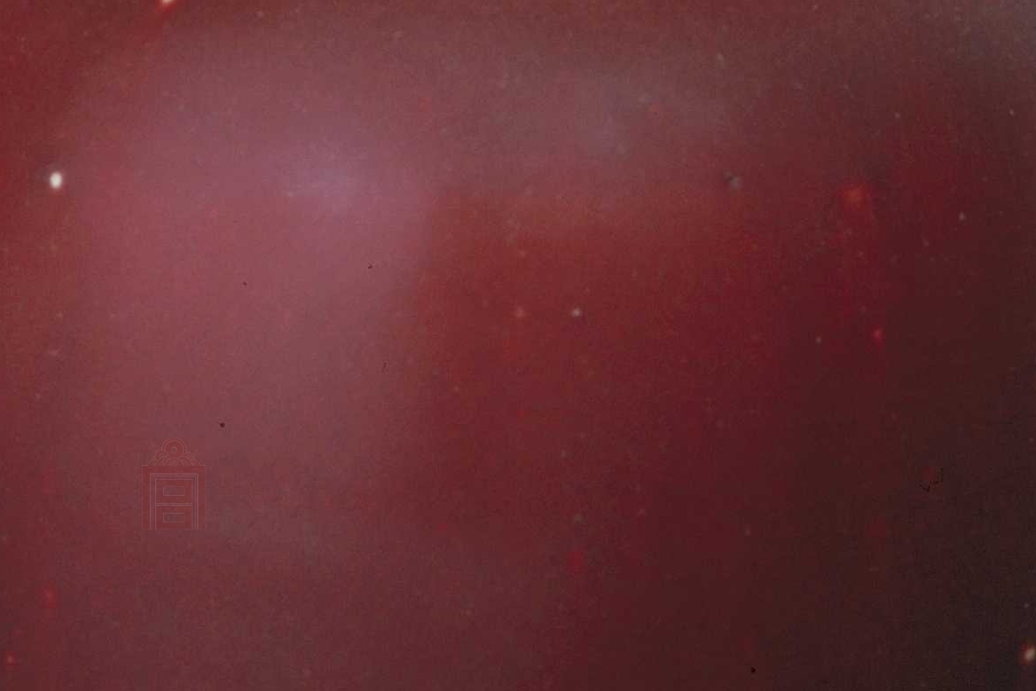 郎窑红釉凤尾尊|故宫博物院