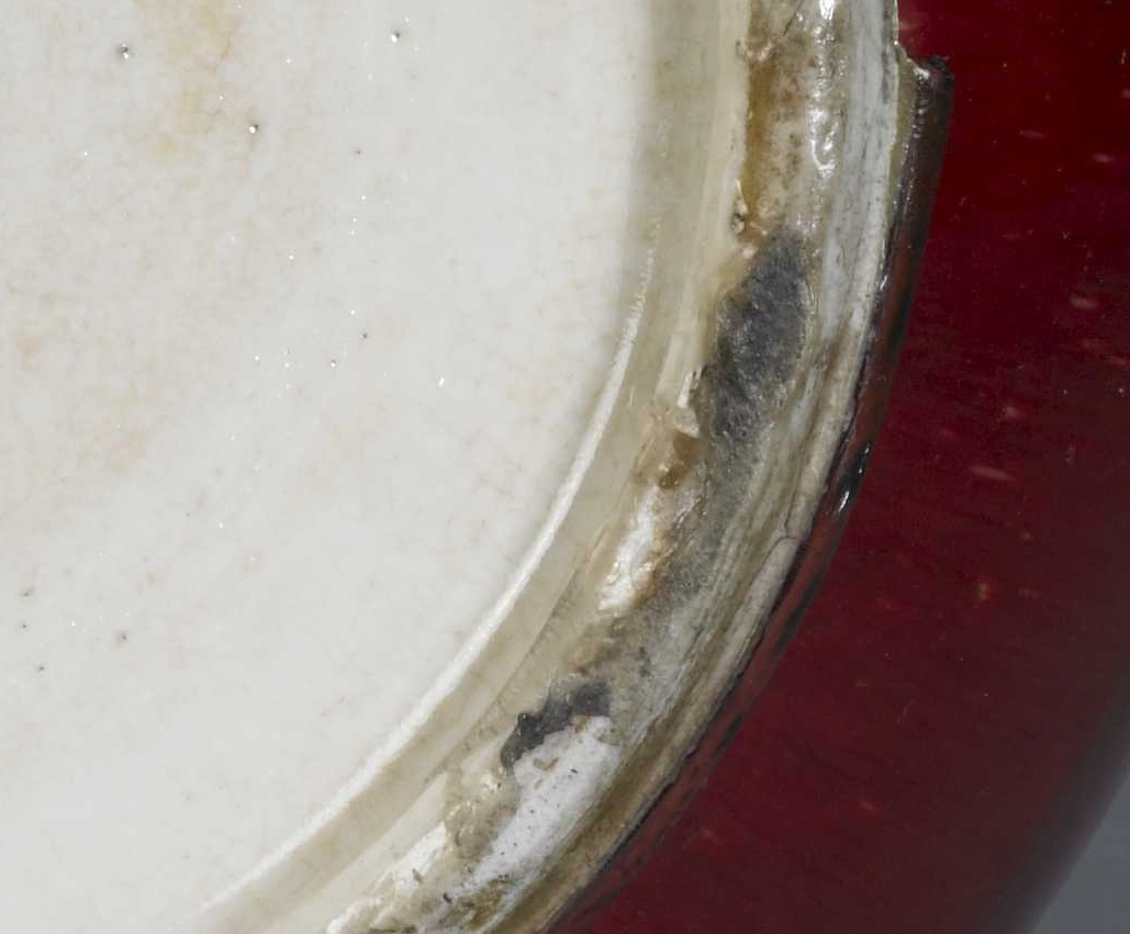 清 康熙 郎窑红釉琵琶尊 |故宫博物院