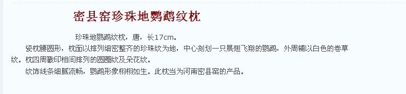 01 唐代 密县窑珍珠地鹦鹉纹枕.jpg