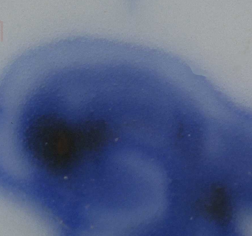 06.5  明代 成华 青花麒麟纹盘_10.jpg