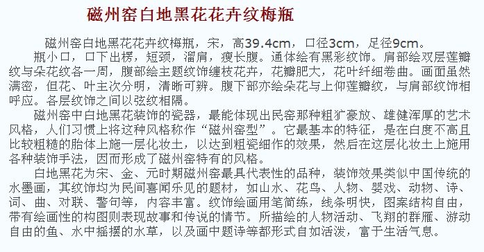 02 宋代 磁州窑白地黑花花卉纹梅瓶_17.jpg