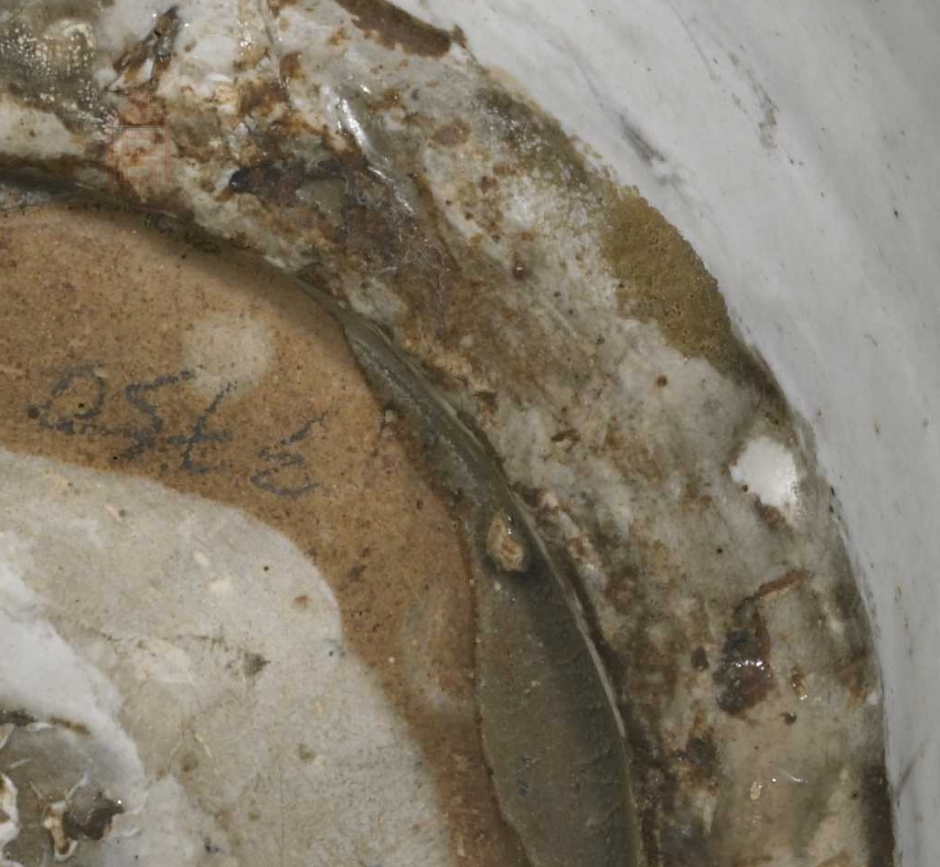 02 宋代 当阳峪窑剔花缸_14 - 副本.jpg