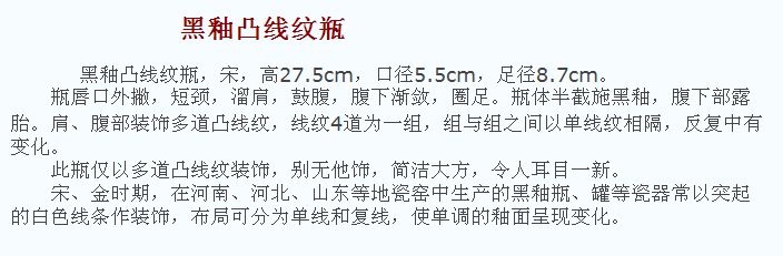 02 宋代 黑釉凸线纹瓶_11.jpg