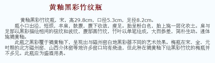 02 宋代 黄釉黑彩竹纹瓶_11.jpg