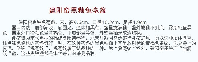 02 宋代 建阳窑黑釉兔毫盏_10.jpg