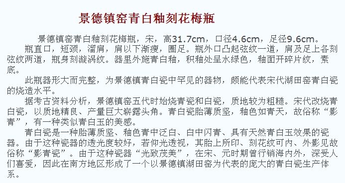 02 宋代 景德镇窑青白釉刻花梅瓶2_14.jpg