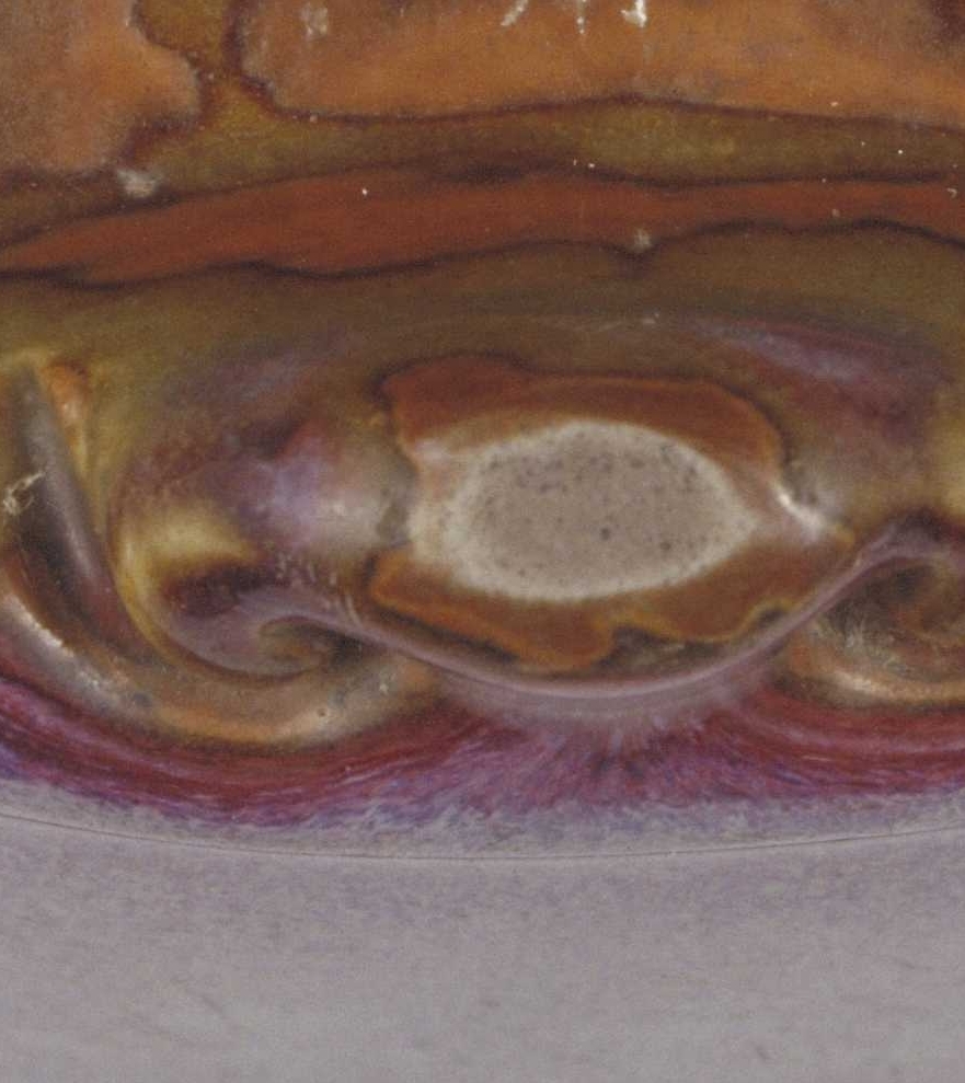 02 宋代 钧窑玫瑰紫釉海棠式花盆托_09.jpg