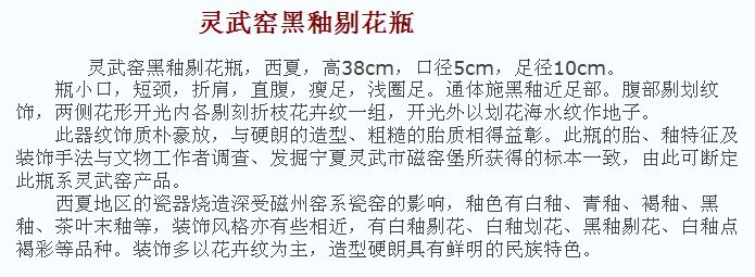 02 宋代 灵武窑黑釉剔花瓶_11.jpg