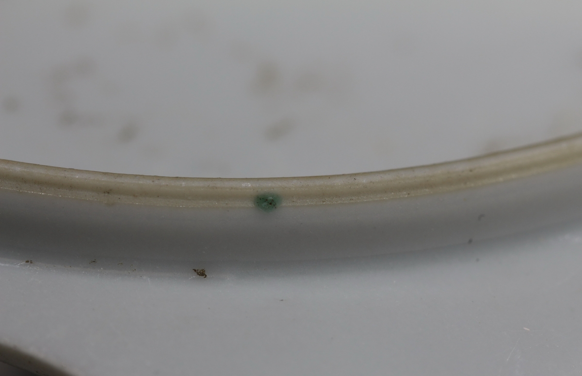 五彩 龙纹 NO.3886