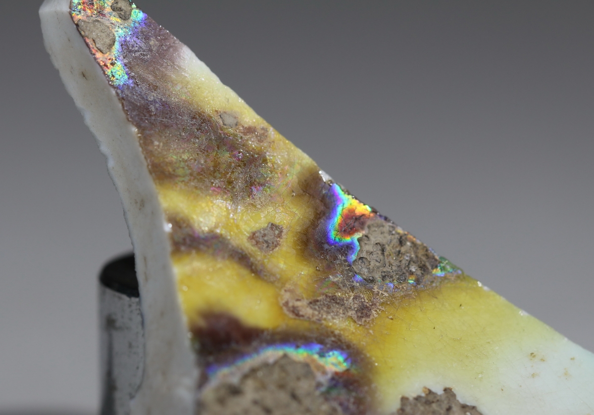 【御瓷】清·康熙虎皮三彩