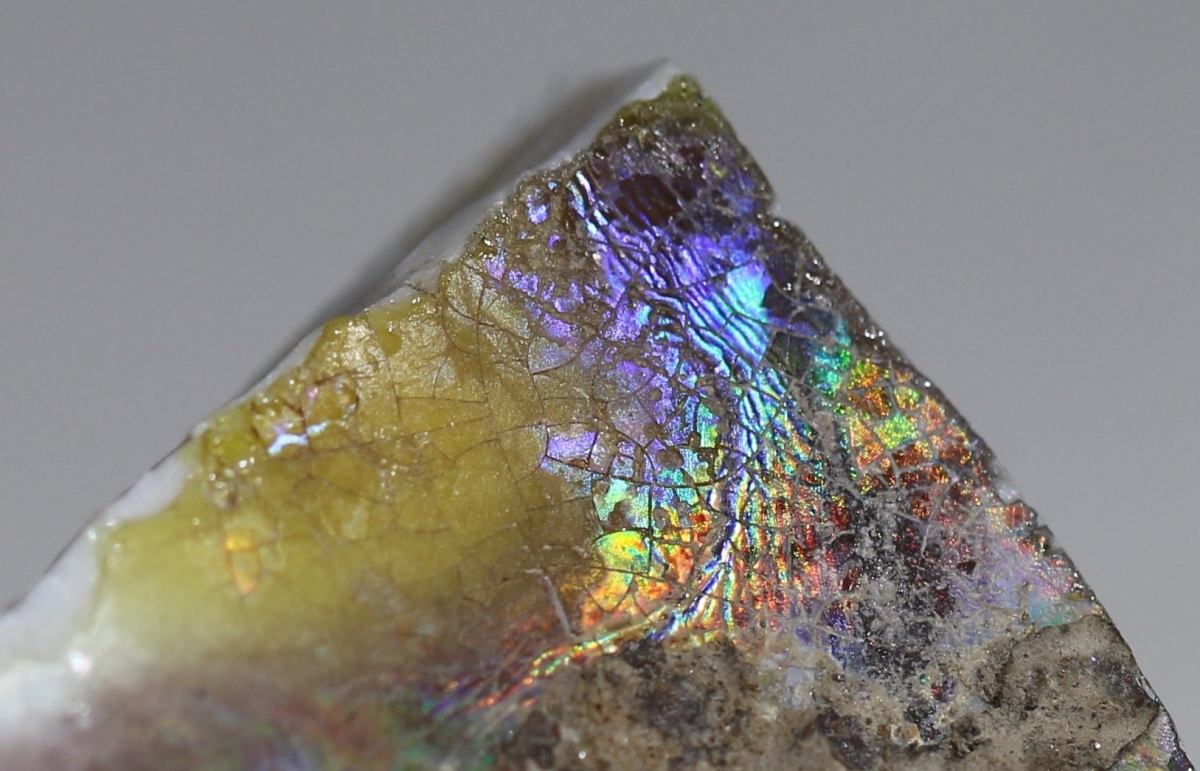 【御瓷】清·康熙虎皮三彩