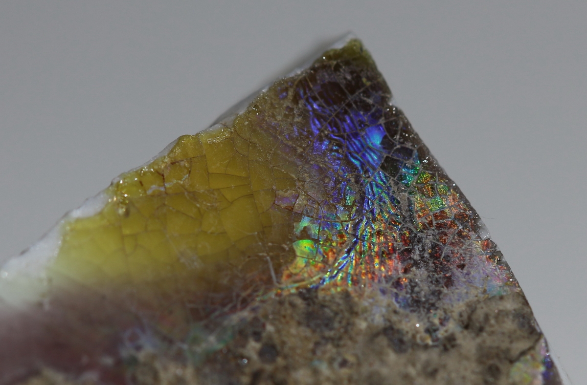 【御瓷】清·康熙虎皮三彩