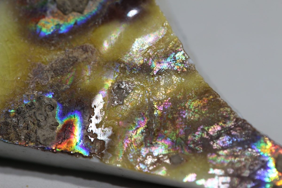 【御瓷】清·康熙虎皮三彩