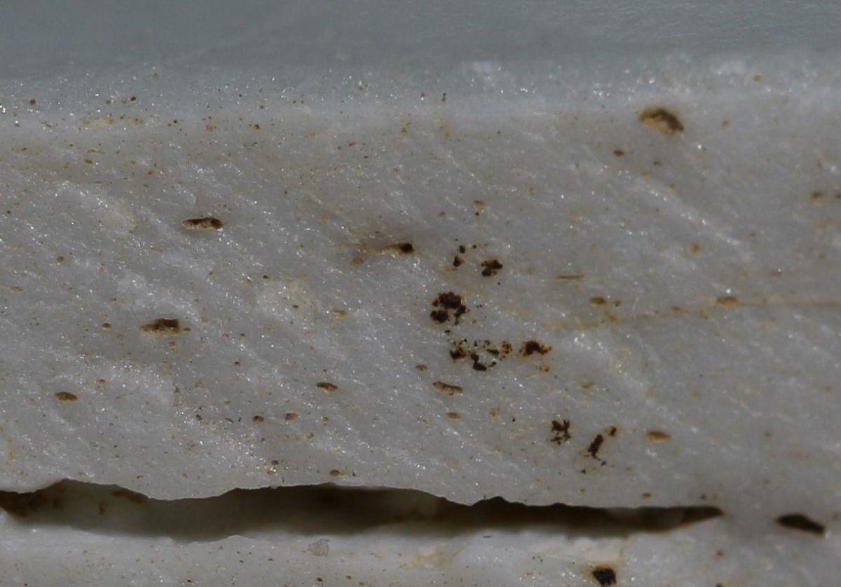 明·大明天顺元年丁丑文武殿*（殿试？瓷砚台）