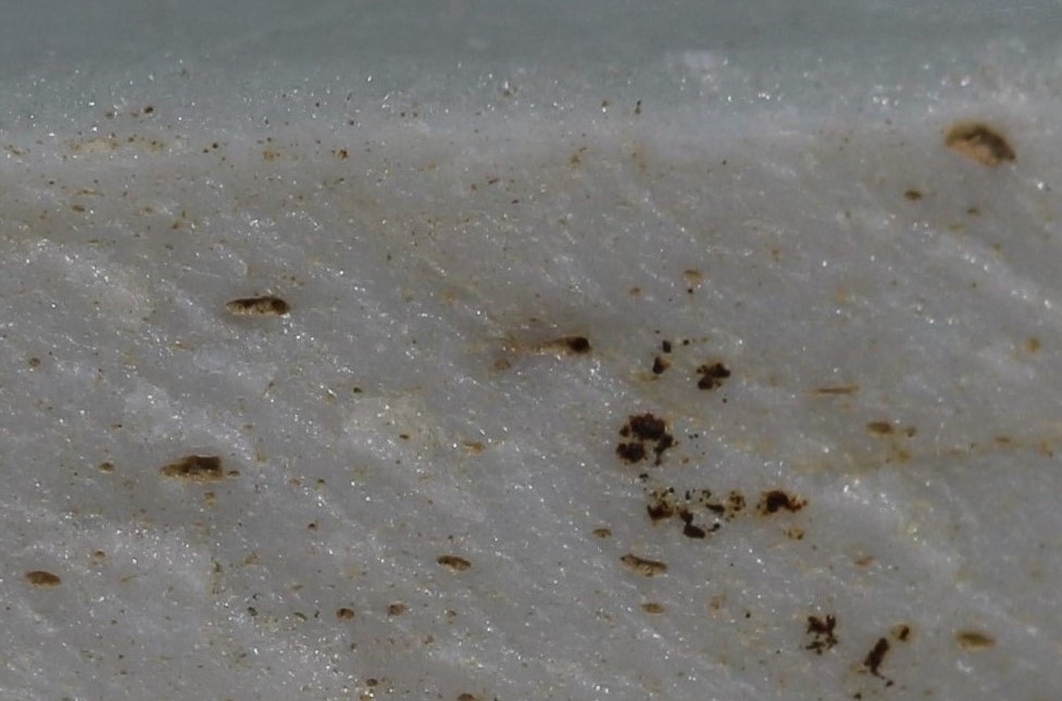 明·大明天顺元年丁丑文武殿*（殿试？瓷砚台）