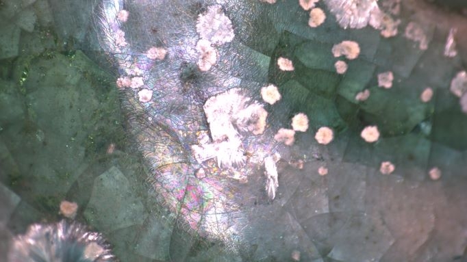 古陶瓷鉴定 五彩光