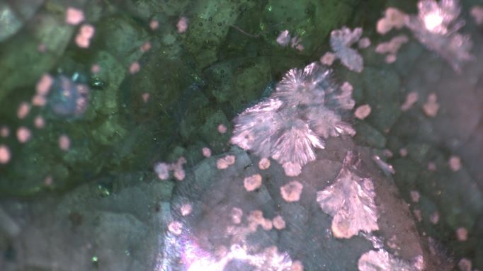 宋代 至  明代 模具印制 模印 绿釉 结晶体 显微照片 图片