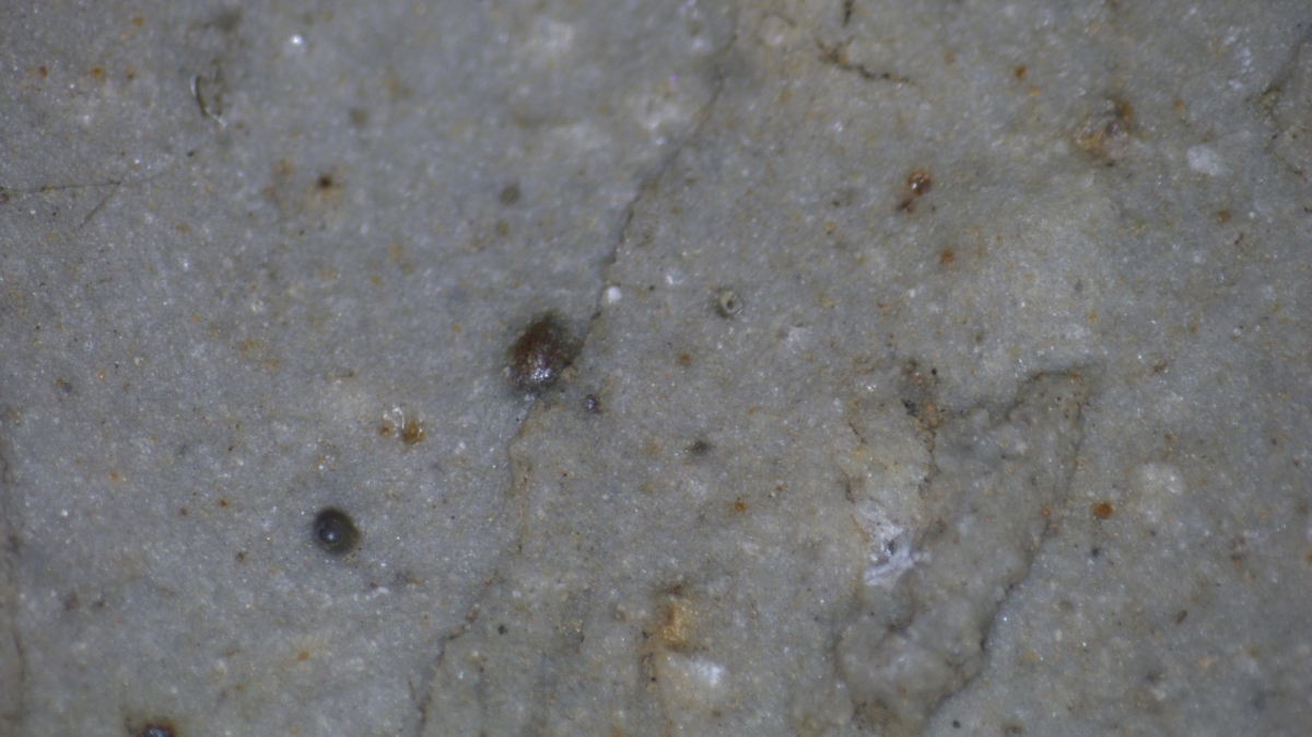 宋代 至  明代 模具印制 模印 绿釉 结晶体 显微照片 图片