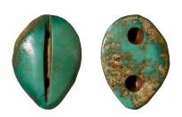 货币的起源——贝币