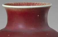 清 康熙 郎窑红釉凤尾尊|故宫博物院