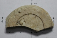 唐代 定窑 刑窑 瓷片 标本 古瓷器 古瓷片