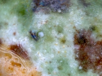 宋代 三彩 口哨 陶俑 7335 显微