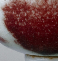 【御瓷】元·景德镇窑 釉里红 NO.7624