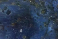 显微镜 观察 古陶瓷 釉面 表面 老化 痕迹 现象