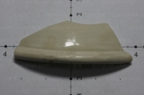 唐代 定窑 刑窑 瓷片 标本 古瓷器 古瓷片