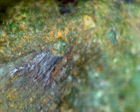 古滇王国 古滇国 鸬鹚 鱼 青铜 配饰 显微照片