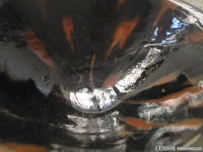 定窑 黑釉 酱釉 鹧鸪斑 铁锈花 效果