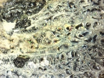 古瓷馆藏-金元铁锈花盖罐-显微鉴赏