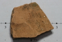 法华彩 胎骨 出现 银白色 银色 白点 银点 点状 属于正常现象