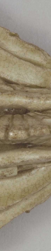 唐代 青釉凤首龙柄壶 故宫 博物院藏